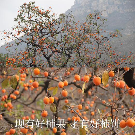 【顺丰包邮】南食召 山东流心吊柿/柿饼 商品图2