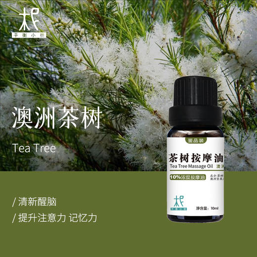 茶树10%浓度按摩油 鉴定品质 体验装 偏高浓度 商品图0