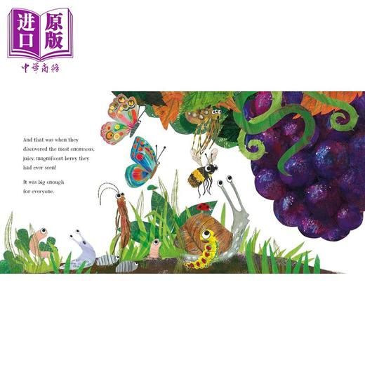 【中商原版】Kate Read 英文原版儿童绘本3册 海底历险Boo 大坏虫The Big Bad Bug 小小象The Littlest Elephant 故事图画书 商品图4