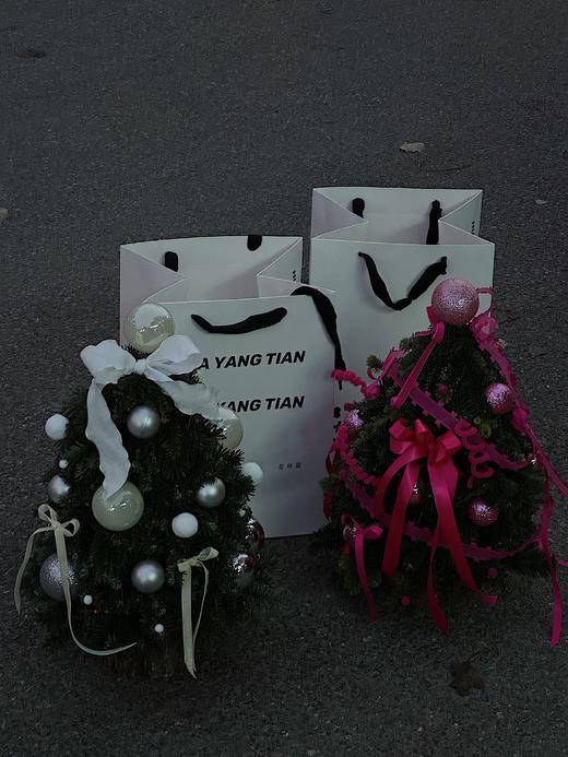 圣诞限定  圣诞 City Walk 鲜诺贝松 商品图0