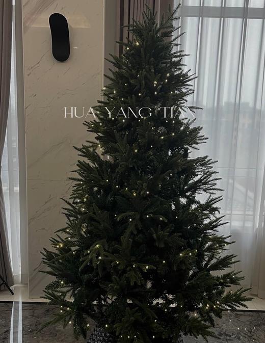 圣诞限定  梦幻圣诞 仿真纯树 商品图0