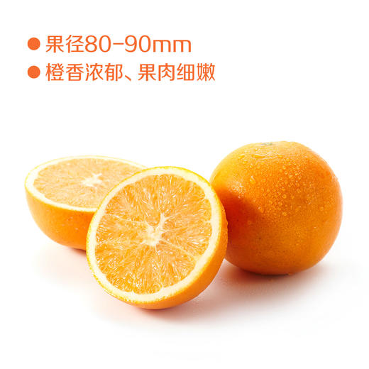 中粮安萃赣南脐橙礼盒特级5kg装礼盒【分仓直发，72小时发货，周末节假日不发货】 商品图3
