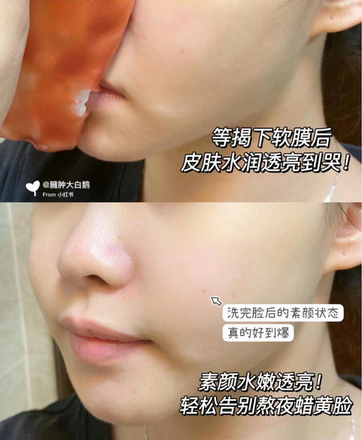 德玛贝尔玫瑰软膜/海藻软膜  美白保湿祛痘修复提亮肤色 1000g凝胶精华+100g面膜粉送工具 商品图5