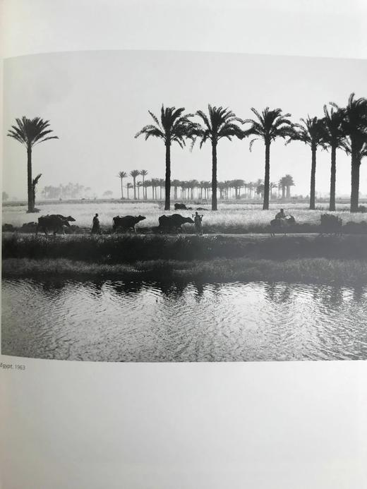 多罗西亚·兰格摄影图集 85幅插图 精装大16开 商品图6