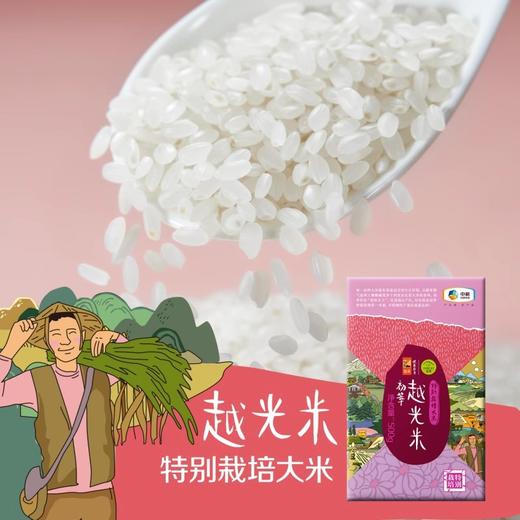 【限时特惠】中粮初萃特别栽培大米礼盒3kg（2025/1/11到期）+云南墨红冻干玫瑰花茶养生茶30g（24.12.26到期） 商品图4