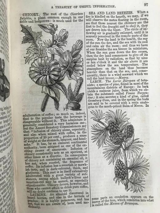 约19世纪后期 家庭百科全书 约百幅精美版画插图 漆布精装32开 商品图8