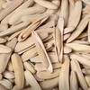 白牙签瓜子 商品缩略图0