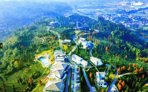 周末元旦不加价【茶海泡汤度假·洪雅青杠坪茶客空间】￥299起享住宿套餐，含早+汤池体验等，周末元旦不加价，冬日出逃计划安排！ 商品图0