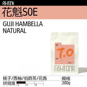 花魁SOE 埃塞罕贝拉日晒 意式咖啡豆