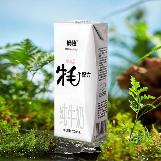 青藏高原牦牛奶（含30%牦牛奶） 商品图0