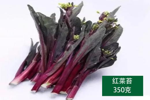 红菜苔 商品图0