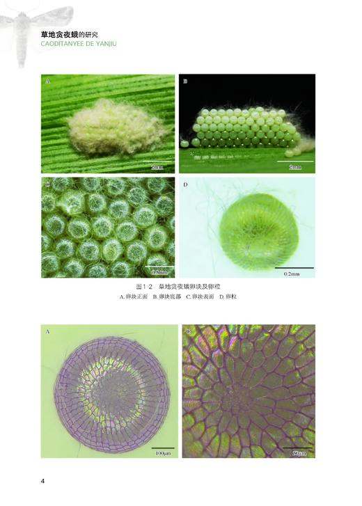 吴孔明 等 编著《草地贪夜蛾的研究》 商品图1