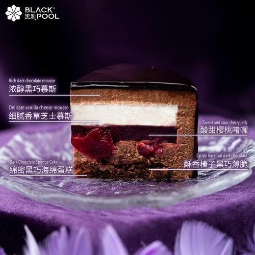 （预约验券专用）【摩羯座·好梦】验券不成功不发货，择款式，备注平台+券码，下单支付0.01元即可 商品图3