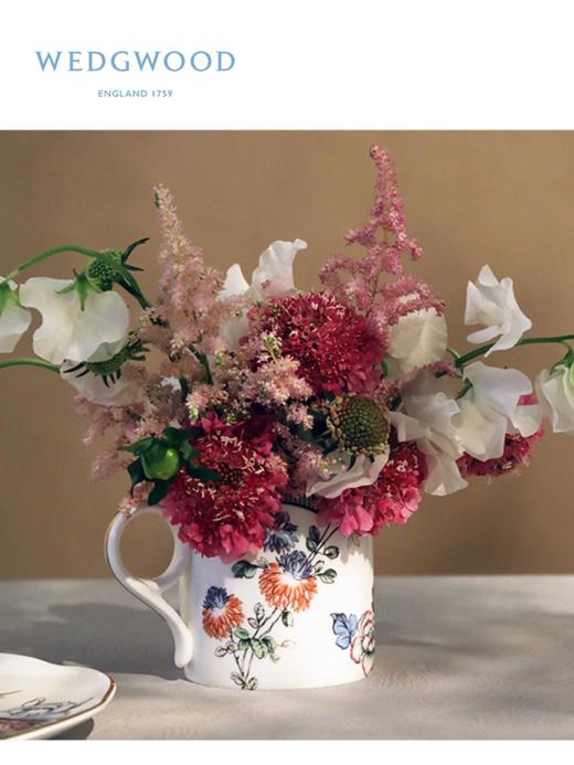 WEDGWOOD威基伍德幸运彩雀骨瓷马克杯欧式家用咖啡杯杯子 商品图1