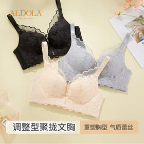 雅黛丽内衣女小胸聚拢显大性感蕾丝文胸无钢圈收副乳防下垂胸罩女
