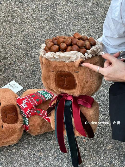 【琳琅】卡皮巴拉75*40cm搭配链接 商品图8