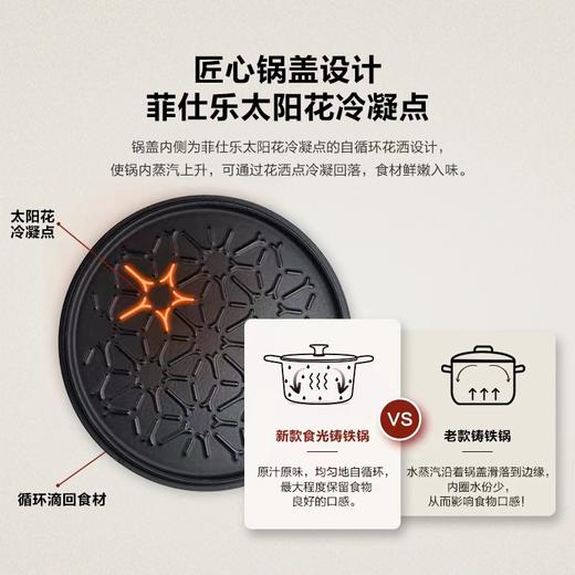 10楼菲仕乐 时光系列20厘米铸铁锅  吊牌价1680元 活动价 399元 商品图5