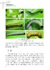 吴孔明 等 编著《草地贪夜蛾的研究》 商品缩略图4