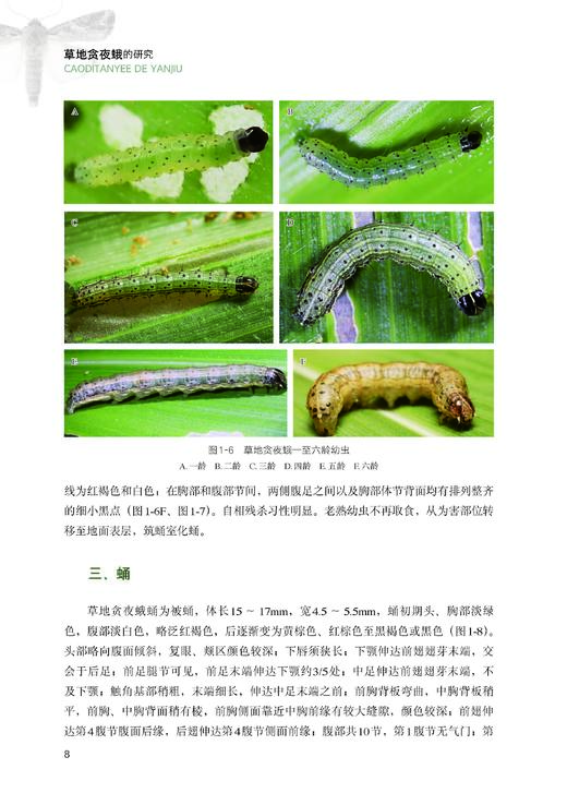 吴孔明 等 编著《草地贪夜蛾的研究》 商品图4