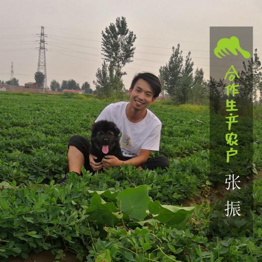 生态带壳炒花生（临期8折特惠） | 合作生产*Ecological goji berry｜Coproducted 商品图2