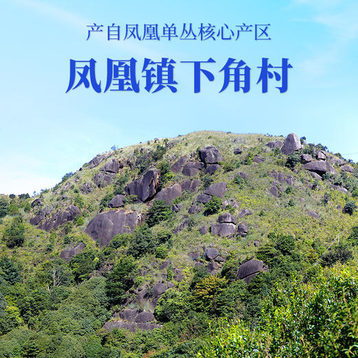 【南上荣】雪片50g 商品图1