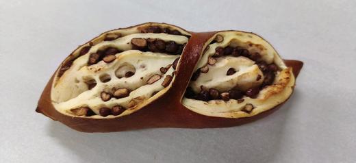 红豆碱水棒（试销） 商品图0