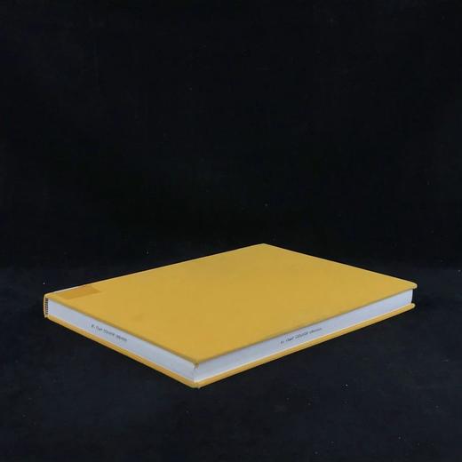 蒙德里安：毁灭的艺术 179幅插图 精装16开 商品图1