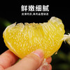 【严选】当季新鲜柚子纯甜爆汁葡萄柚含箱9.5斤/箱 商品缩略图1