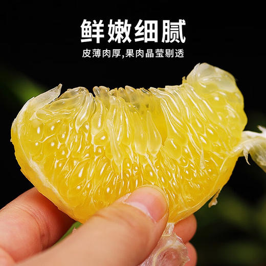 【严选】当季新鲜柚子纯甜爆汁葡萄柚含箱9.5斤/箱 商品图1