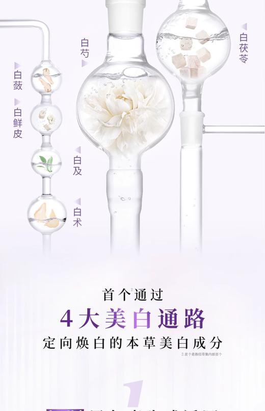 佰草集新七白大白泥美白面膜500g 商品图3