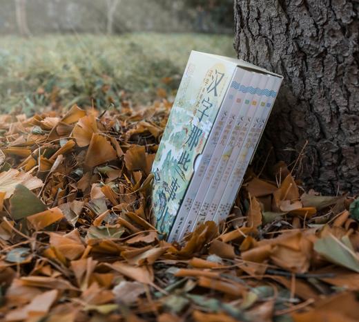 汉字那些事儿（全6册） 商品图12