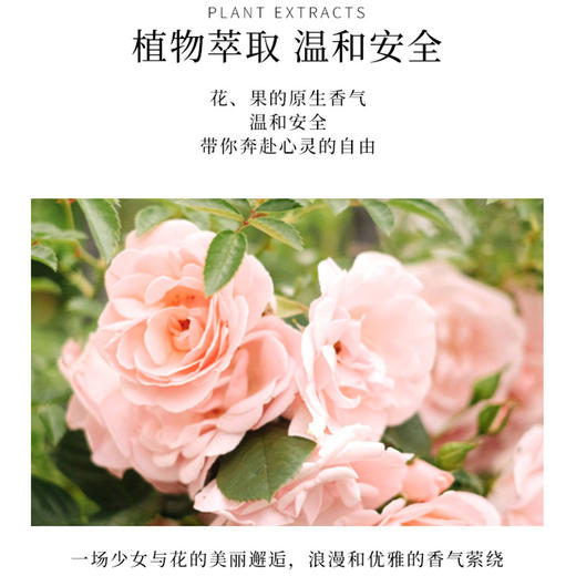 雅淡香清冽香气梦幻迷人少女与花香水155510734 商品图1