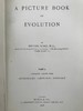 1906年 进化图鉴（卷1） 182幅插图 漆布精装32开 商品缩略图2