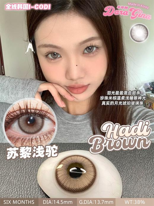 Hadi Brown 苏黎浅驼【半年抛】 商品图0