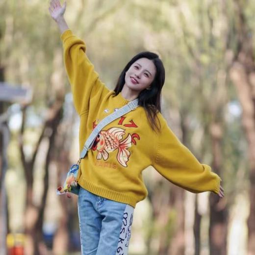 女毛衣2335 商品图0