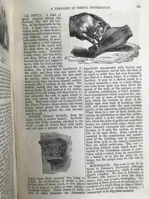 约19世纪后期 家庭百科全书 约百幅精美版画插图 漆布精装32开 商品图9