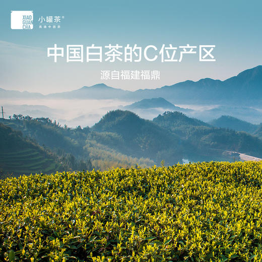 小罐茶 寻迹白茶·组合茶金28罐装 【现货】 商品图7