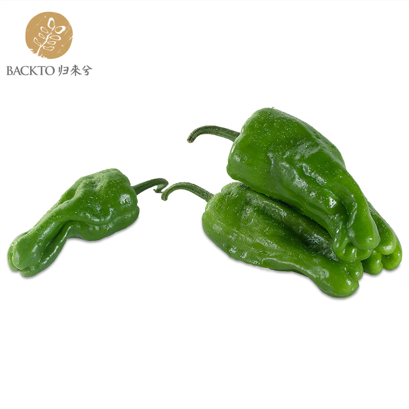 有机苏椒(绿色红色随机)300g/份   全国配送（偏远地区除外）