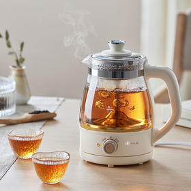 小熊 煮茶壶煮茶器蒸茶壶喷淋式养生壶1L花茶壶玻璃电茶壶不锈钢滤网 ZCQ-A10X3