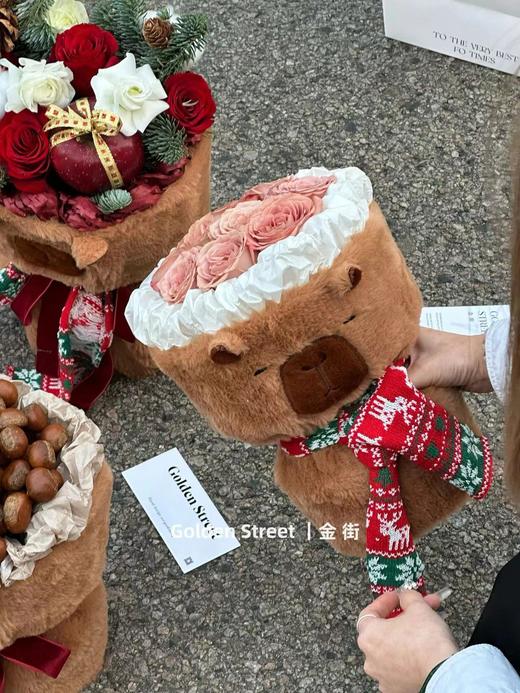 【琳琅】卡皮巴拉75*40cm搭配链接 商品图7