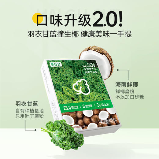 麦谷村生椰益生元羽衣甘蓝粉 商品图1