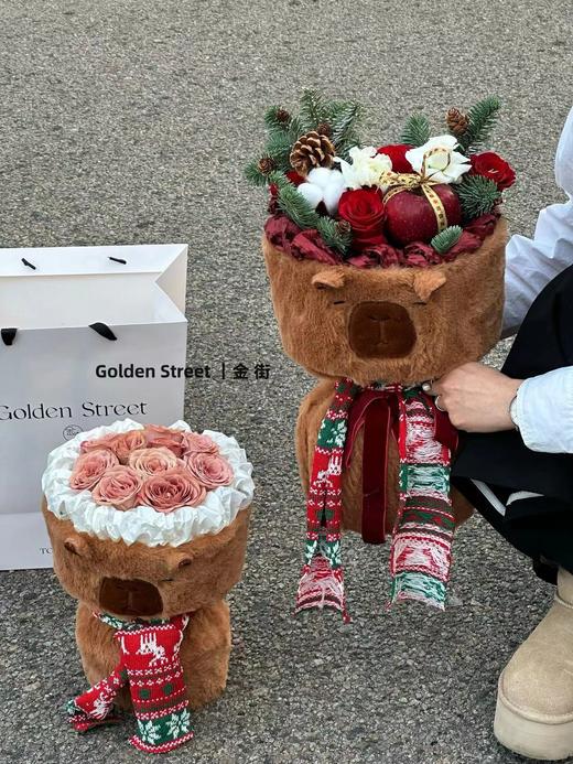 【琳琅】卡皮巴拉75*40cm搭配链接 商品图2