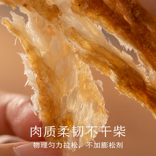 基本烤鱼片 商品图1