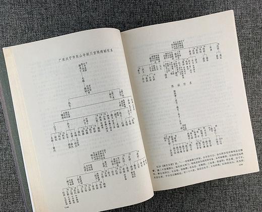 《中华姓氏源流史》，精装，16开，全4册，何光岳著，湖南教育出版社2003年一版一印，4832页，定价1680，售价468元。 商品图5