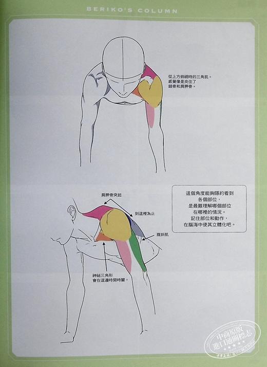 【中商原版】漫画家构图设计 男子肌肉姿势集 港台原版 Scarlet Beriko 台湾东贩 漫画技巧 商品图5