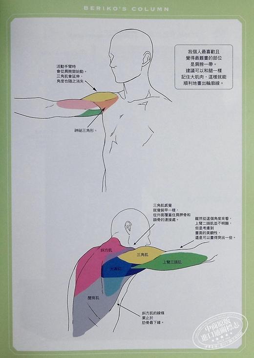 【中商原版】漫画家构图设计 男子肌肉姿势集 港台原版 Scarlet Beriko 台湾东贩 漫画技巧 商品图4