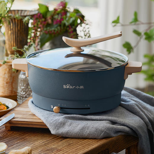 小熊 电火锅/DHG-C50K5 5L 商品图0