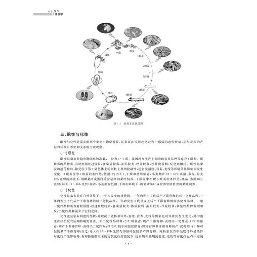 综合蚕丝学/时连根/全国高等院校本科教材/浙江大学出版社/蚕/蚕丝 商品图3