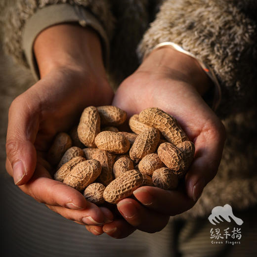 生态带壳炒花生（临期8折特惠） | 合作生产*Ecological goji berry｜Coproducted 商品图5