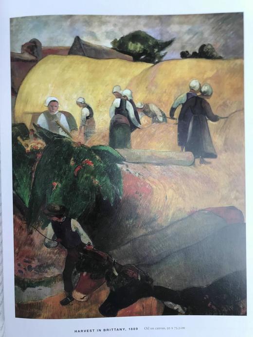 梵高与佩蒂特大道的画家们 约百余幅插图 精装大16开 商品图7